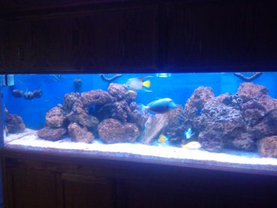 2010-08-16 19.18.21_Fort Walton Beach_Florida_US.jpg