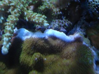 DSC06641.jpg
