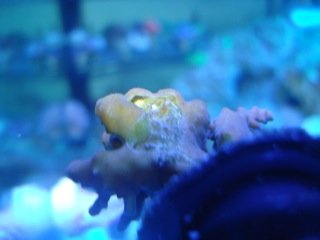 DSC06822.jpg