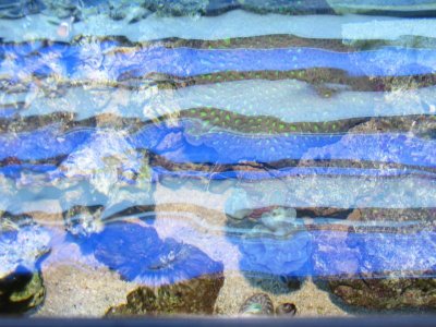 Overhead view 8-5-10.jpg