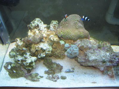 overhead_angle 8-5-10.jpg