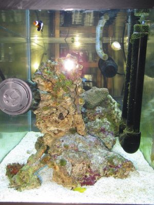 Side view 8-5-10.jpg