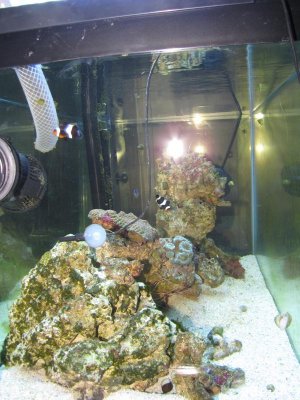 Reverse side 8-5-10.jpg