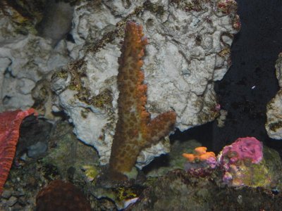 3-3-2010 043 (Medium).jpg