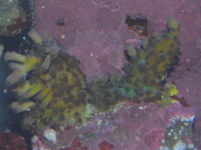 M0018198 (Medium).JPG