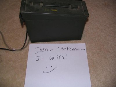 IMG_2687.jpg