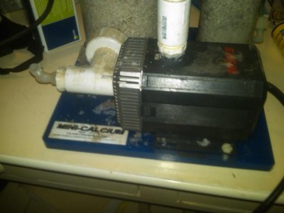 IMG00072-20100817-2150.jpg