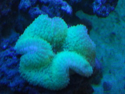 Florda Sea BAse 194.jpg