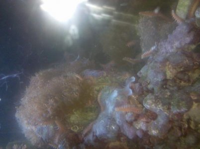 2010-08-07 21.12.55.jpg