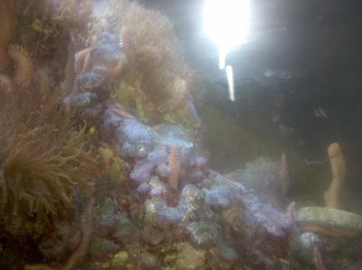 2010-08-07 21.13.08.jpg