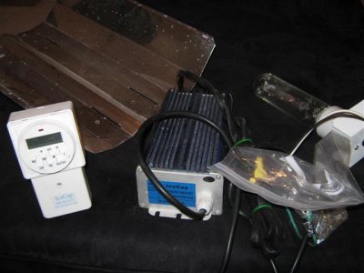 light 002 (Small).jpg