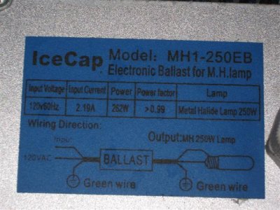 light 003 (Small).jpg