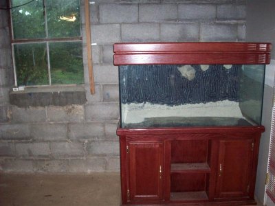 100_0386 (Medium).jpg