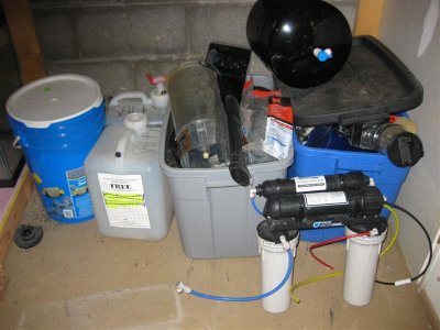 IMG_3767 (Medium).JPG