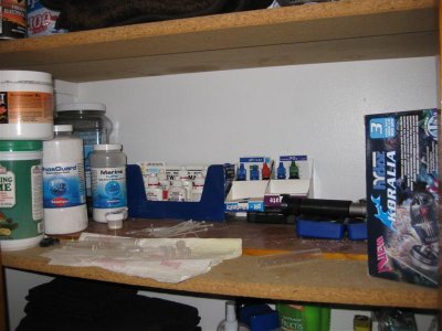 IMG_3769 (Medium).JPG