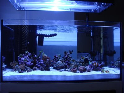FTS_073110.jpg
