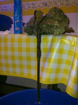 Copia di 19082010484.jpg