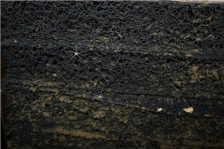 IMG_4928.jpg IMG_4928.jpg