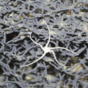 IMG_4929.jpg IMG_4929.jpg