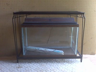 IMG00038.jpg