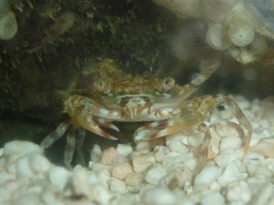 P1020983 resized.JPG