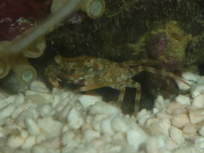 P1020978 resized.JPG