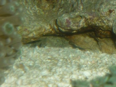 P1020984 resized.JPG