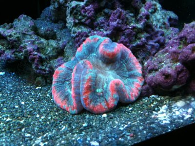 IMG_0376.jpg