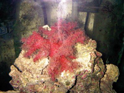 IMG00117-20100809-0655.jpg