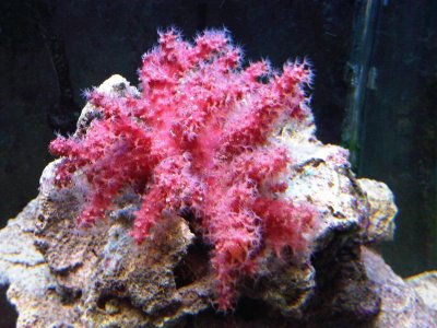 IMG00124-20100809-0721.jpg
