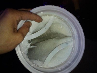 2010-08-10 16.10.44.jpg