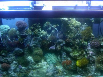 IMG00004-20100810-2042.jpg