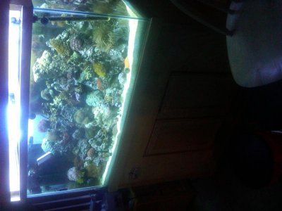 IMG00002-20100810-2041.jpg