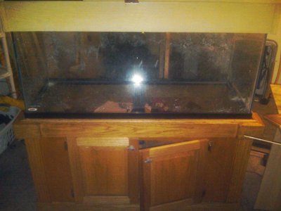 IMG00006-20100810-2042.jpg