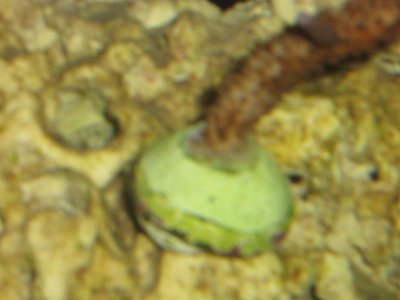 IMG_2963.jpg