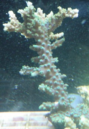 DSCF0364.jpg