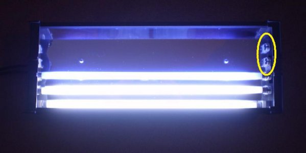 light3.jpg