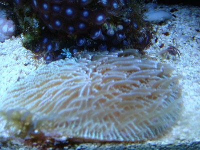 DSC03632.jpg DSC03632.jpg