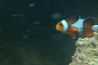 100MEDIA_IMAG0088.jpg 100MEDIA_IMAG0088.jpg