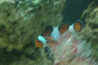 100MEDIA_IMAG0084.jpg 100MEDIA_IMAG0084.jpg