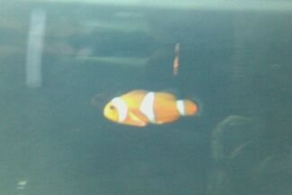 100MEDIA_IMAG0109.jpg 100MEDIA_IMAG0109.jpg