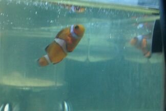 100MEDIA_IMAG0104.jpg 100MEDIA_IMAG0104.jpg