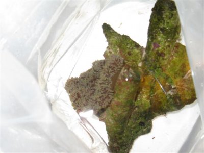 IMG_1264 (Small).jpg