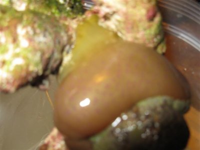 IMG_1266 (Small).jpg