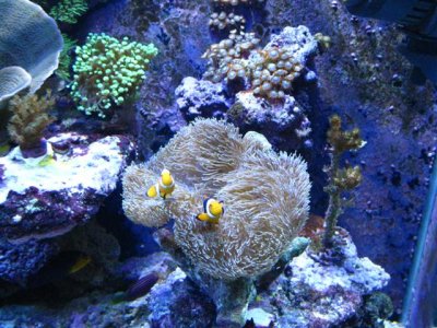 IMG_1268 (Small).jpg