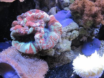IMG_2984.jpg