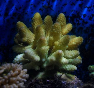 Ã¦Å“ÂªÃ¥â€˜Â½Ã¥ÂÂ3.jpg