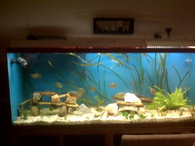 IMG00400-20100825-2239.jpg