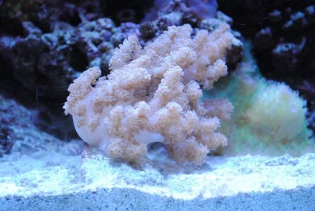 DSC_0003.jpg
