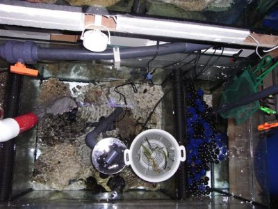 sump m.vand2.JPG